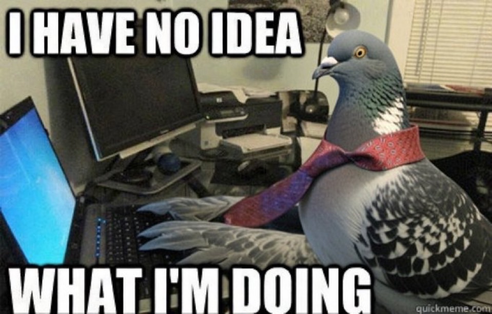 Pigeon Signal meme