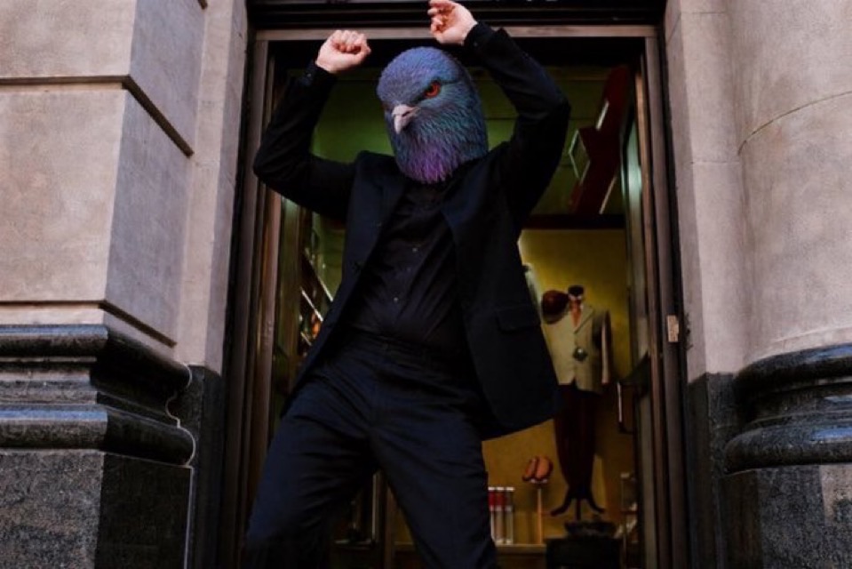 Pigeon Signal meme