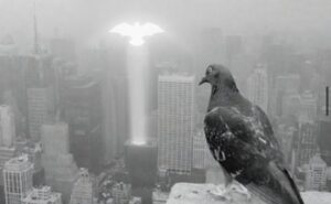 $PIGEON community meme