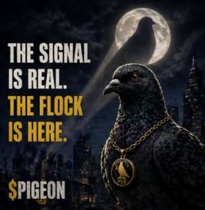 Pigeon Signal flock meme
