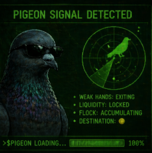 Pigeon Signal flock meme
