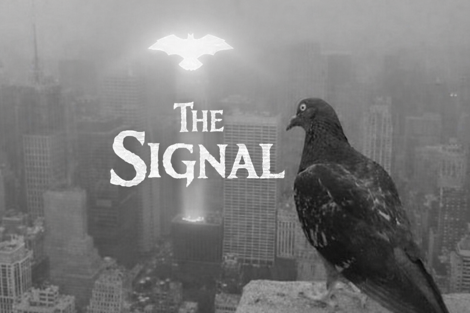Pigeon Signal meme