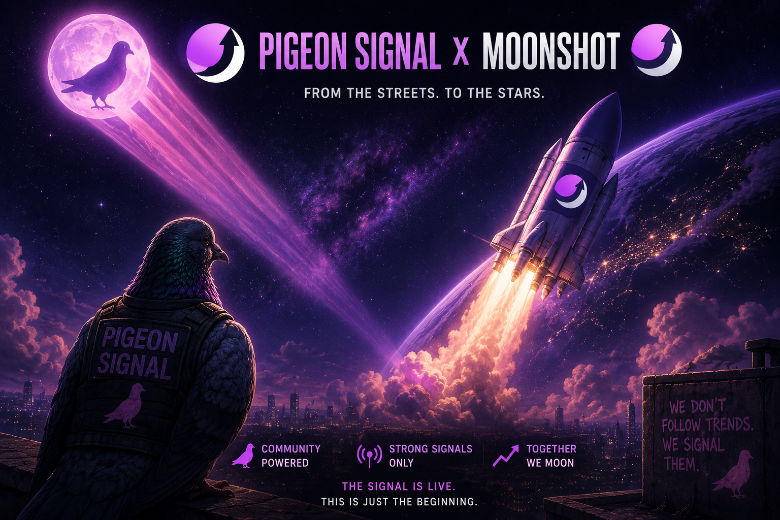 Pigeon Signal meme