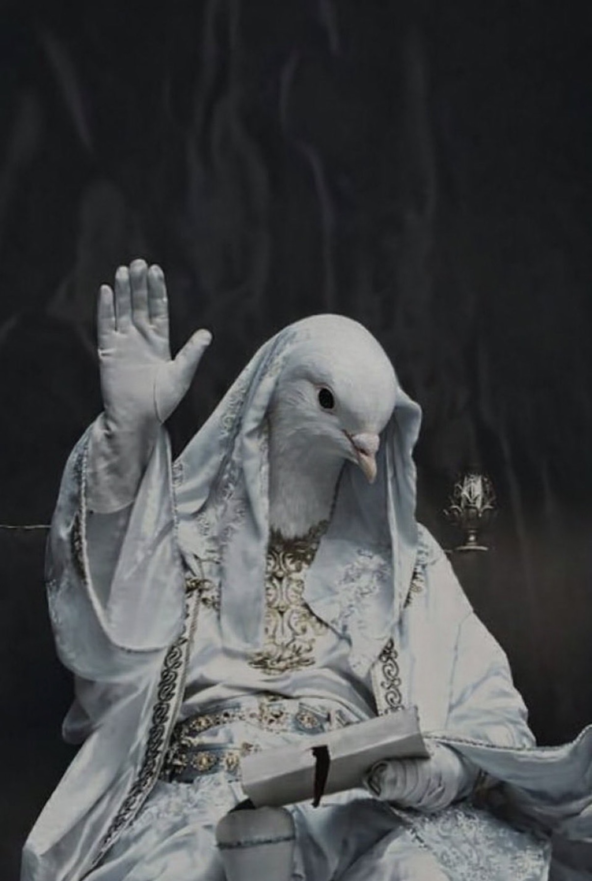 Pigeon Signal meme