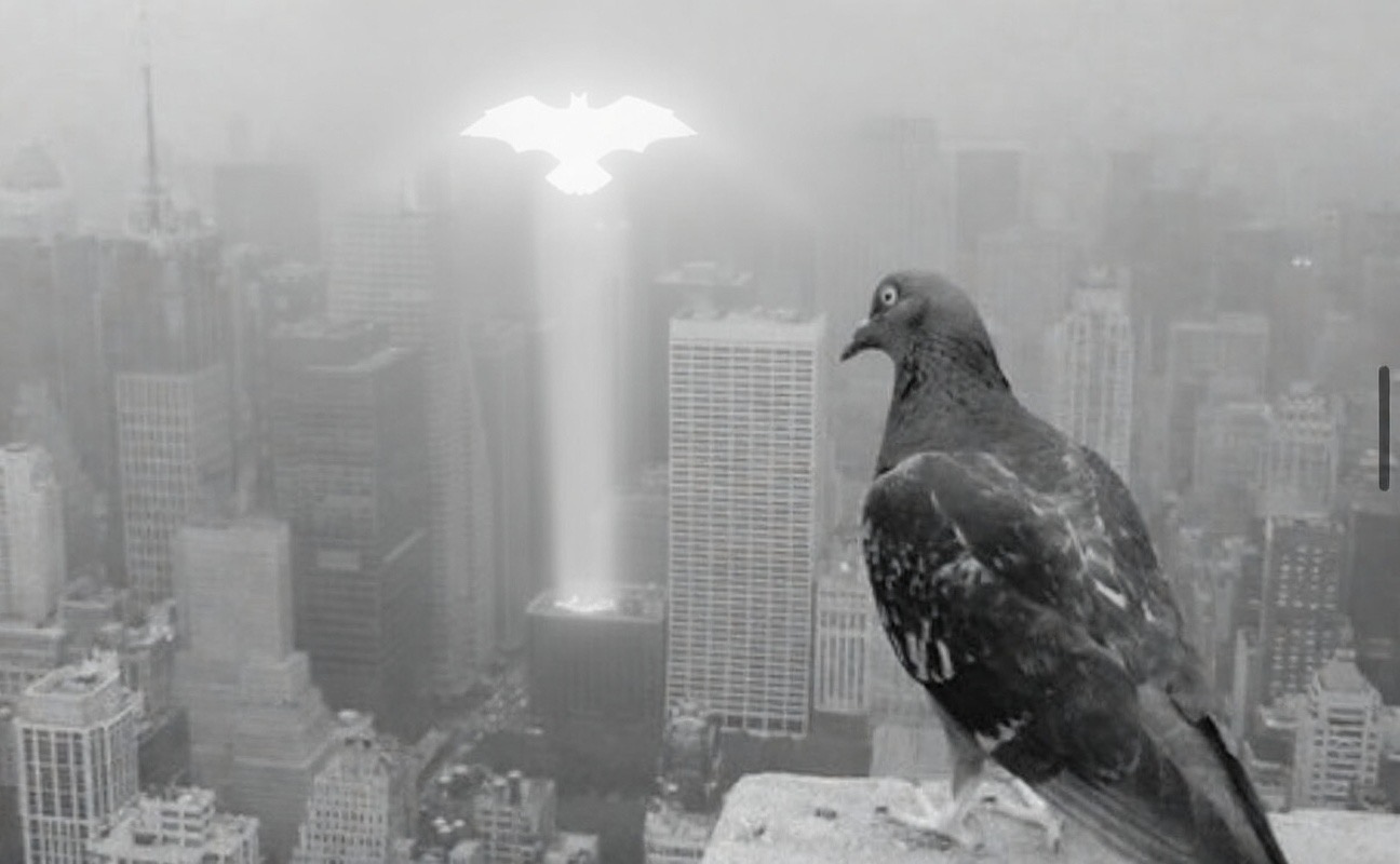 Pigeon Signal meme
